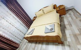 Apartament Radoi